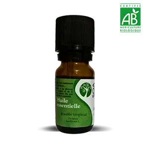 Huile essentielle basilic tropical BIO AGRICULTURE BIOLOGIQUE